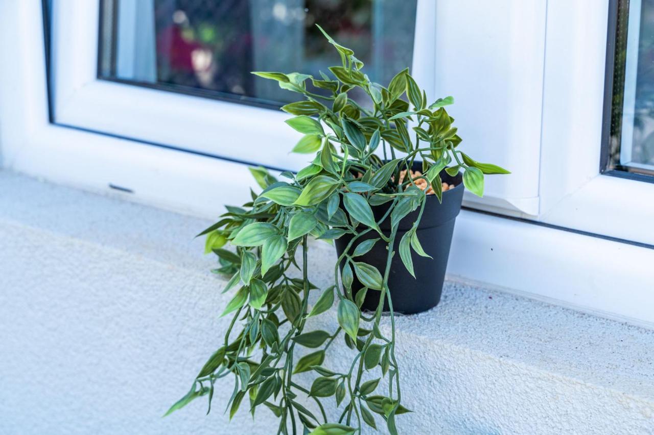 Green Garden Apartment *